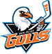 San Diego Gulls at Pechanga Arena San Diego